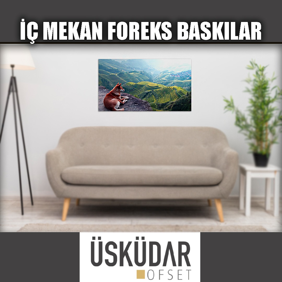 Üsküdar ofset